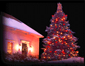 ani_trees019